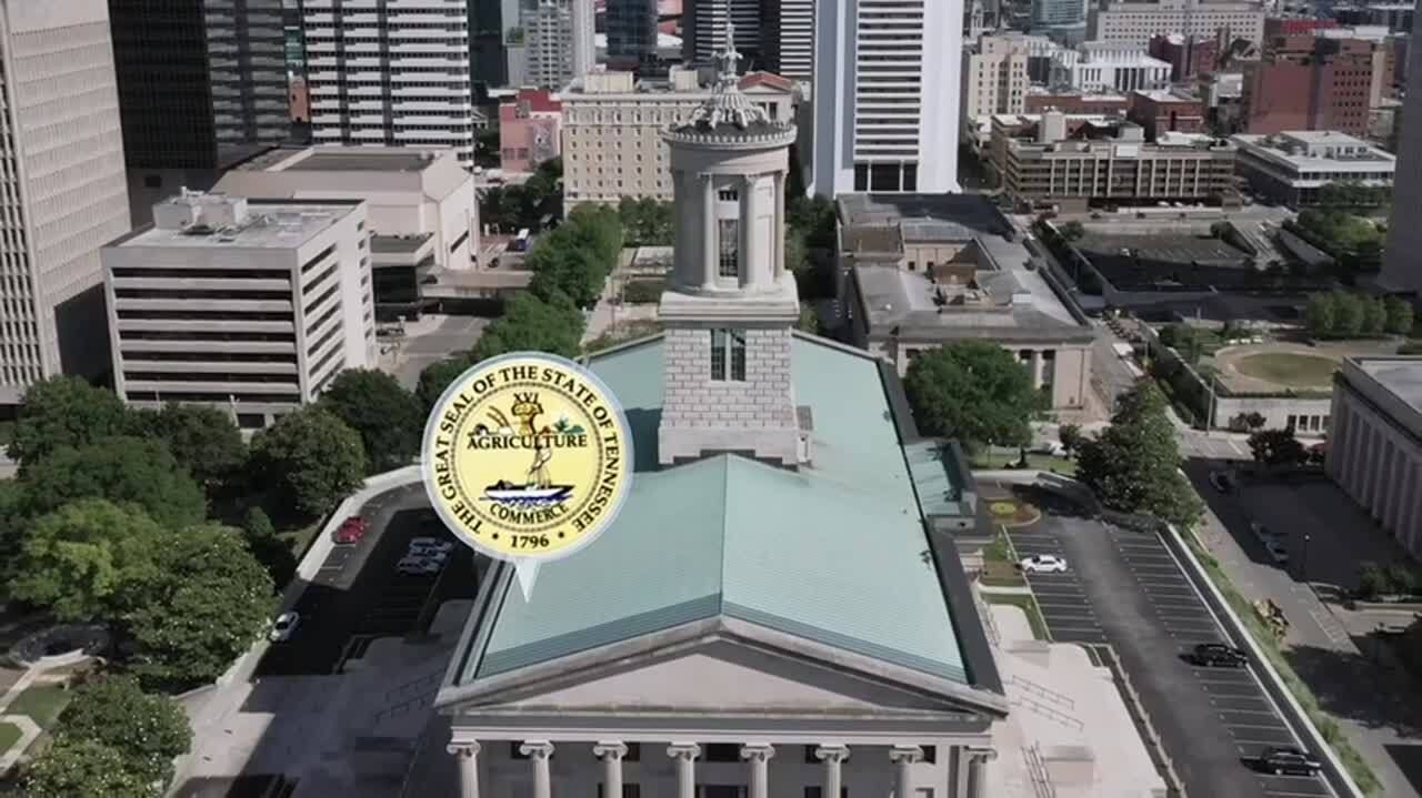 Revolutionize Government Services with CXone Mpower!